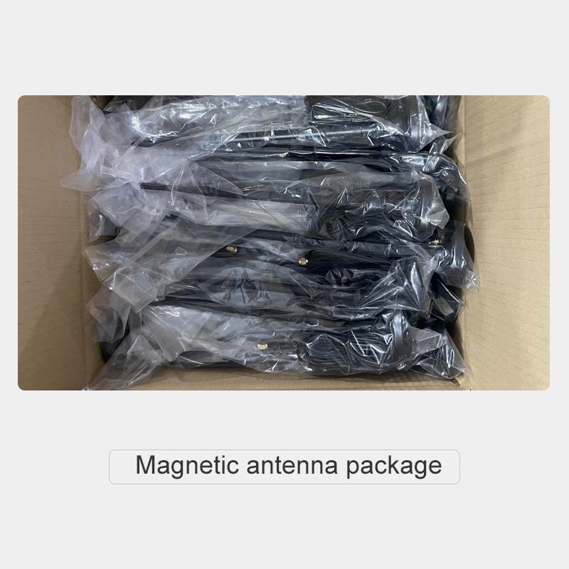 Magnetic antenna package